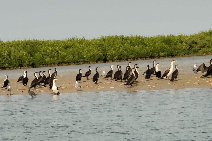 Private and Guided Excursion to the Kingdom of Sine and Saloum