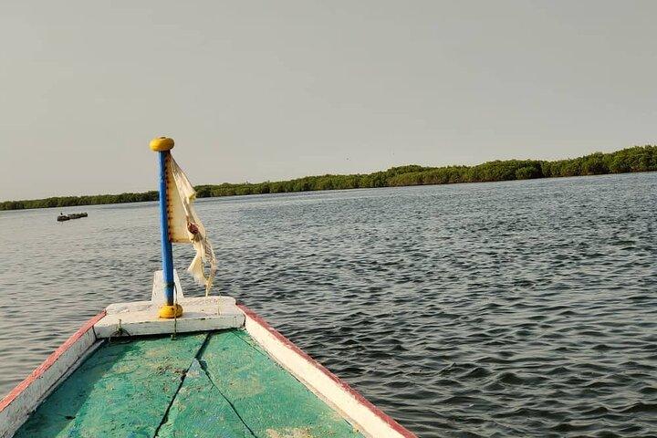 Private and Guided Excursion to the Kingdom of Sine and Saloum