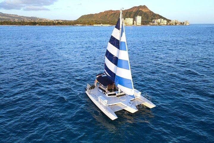Best Waikiki Whale Watching in Honolulu: Whales Guaranteed