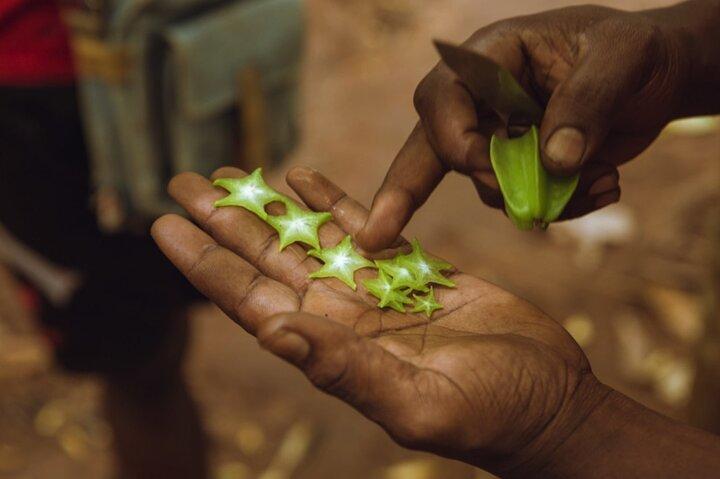 Half Day Private Guided Tour in Zanzibar to Spice Farm