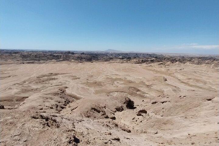 Cruise liner Special: Swakopmund and Namib Desert Treasures