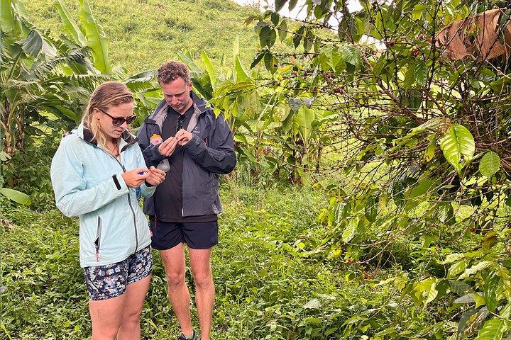 1 day Lake Kivu Adventure, Scenic Hike & Coffee Plantation Tour