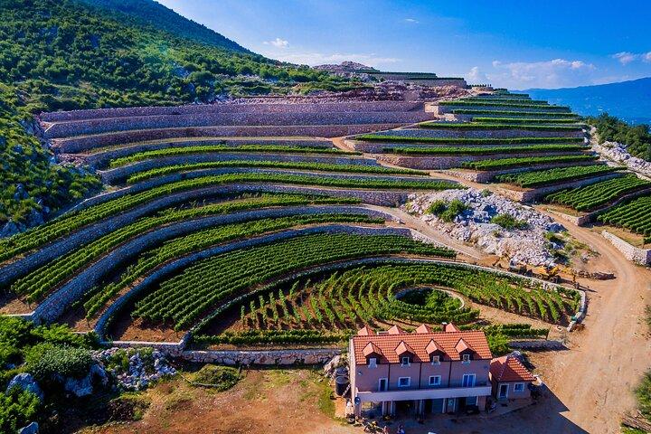 Private Wine Tasting Activity at Lipovac Winery