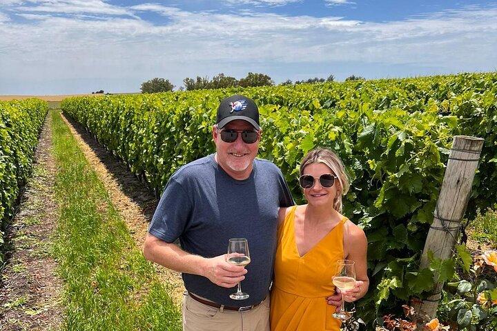 Discover why we Love the Colonia Wine Experience