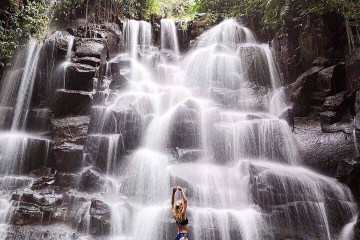 Ubud Waterfalls, Rice Terrace & Jungle Swing - Private Tour