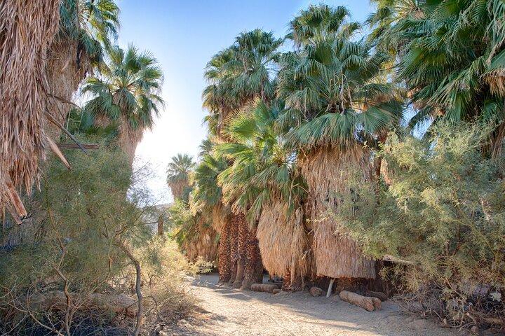 Palm Springs Self-Guided Driving Audio Tour