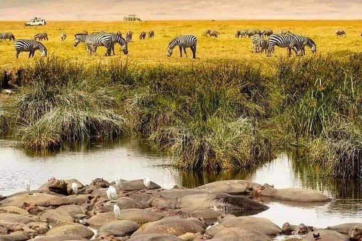 4 Days Private Safari to Serengeti and Ngorongoro