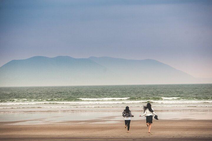 The Wild Coast of Dingle Peninsula and Slea Head from Killarney