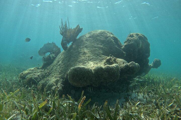 Snorkel Paradise Cancun 5 in 1 For Non Swimmers