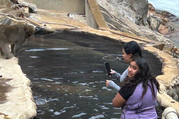 Full Day Snow Monkey Park Tour, From/To Tokyo, 2-12 guests