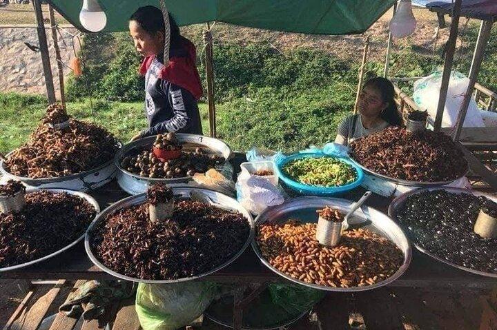 Siem Reap; Private Countryside, Sunset, Bike Tours & Picnic