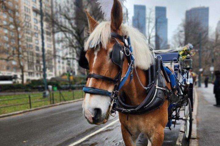 NYC Horse and Carriage Central Park Tours