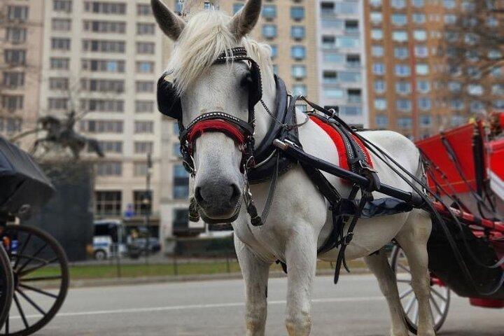 NYC Horse and Carriage Central Park Tours