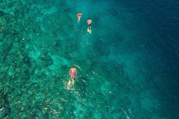 Snorkeling in Menjangan Island with Pickup and Lunch