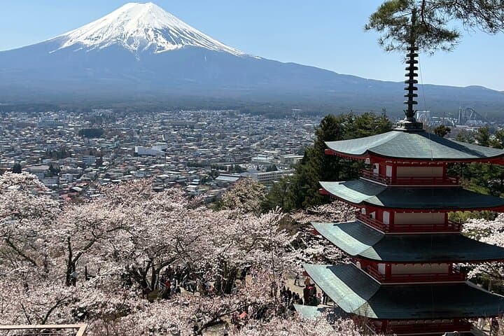 One Way Shuttle Van Transfer, Tokyo⇔Yamanashi(Mt.Fuji)