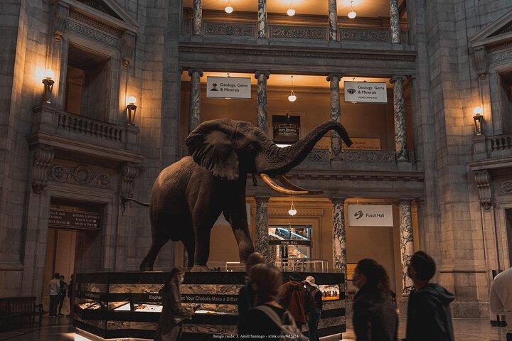 Two Smithsonian Museums Private Tour: American & Natural History