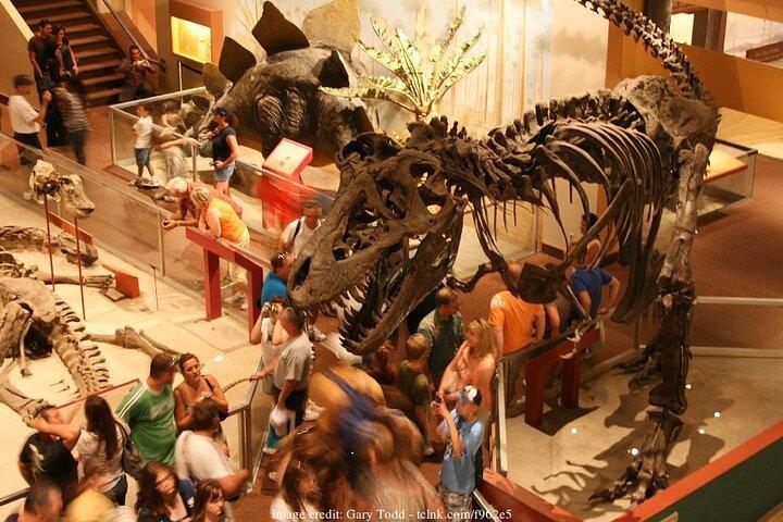 Two Smithsonian Museums Private Tour: American & Natural History