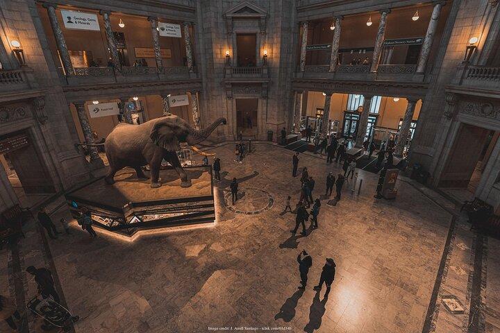 Two Smithsonian Museums Private Tour: American & Natural History