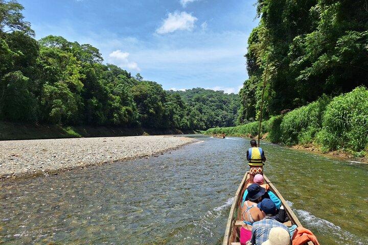 Tour to a waterfall and Embera village with lunch included
