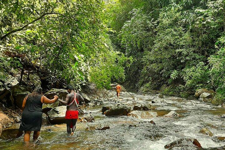 Tour to a waterfall and Embera village with lunch included