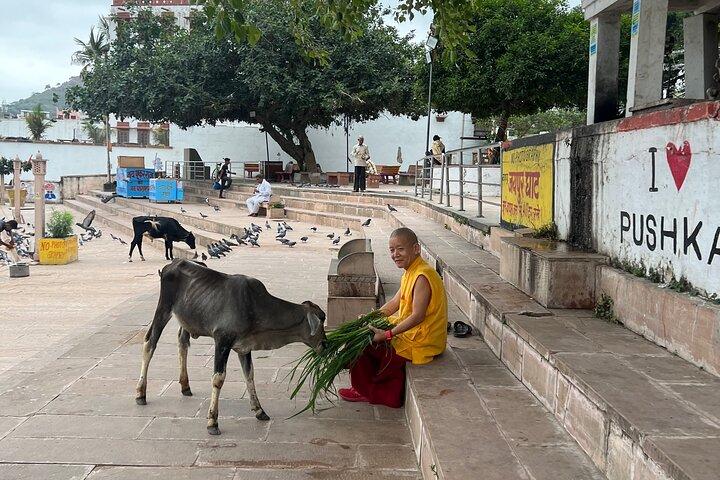 Spiritual City Walking Tour-THE Pushkar Route