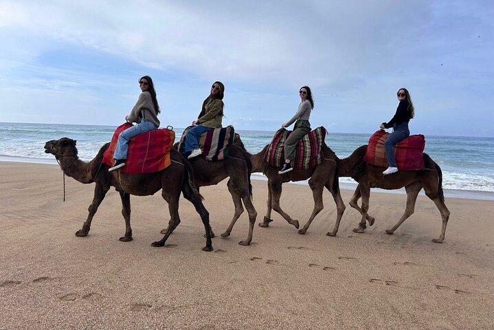 Luxury Private 4-Hour Tangier Experience with Expert Guide