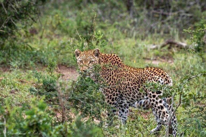 5 Days Lake Nakuru-Lake Naivasha & Maasai Mara Safari