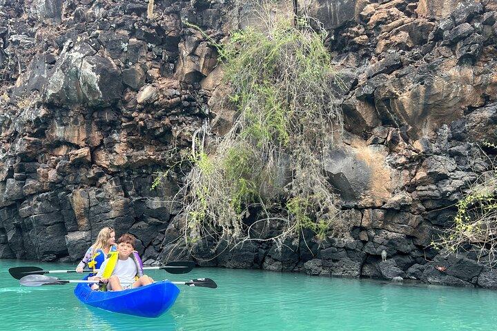 Kayaking Experience in Franklin Bay
