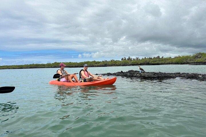 9-Day Galapagos Island Hopping Tour | 3 Iconic Islands