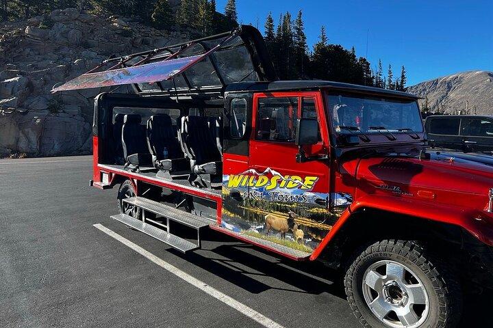 Sunset Wildlife Tour (Wildside 4x4 Tours)