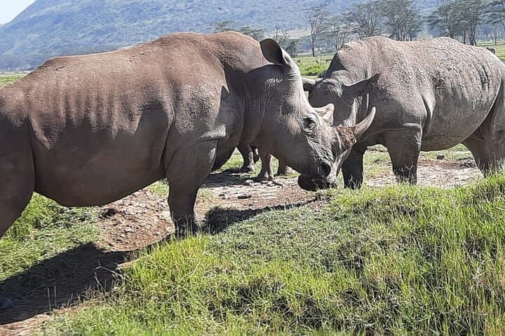 12 Days Kenya and Tanzania Tour