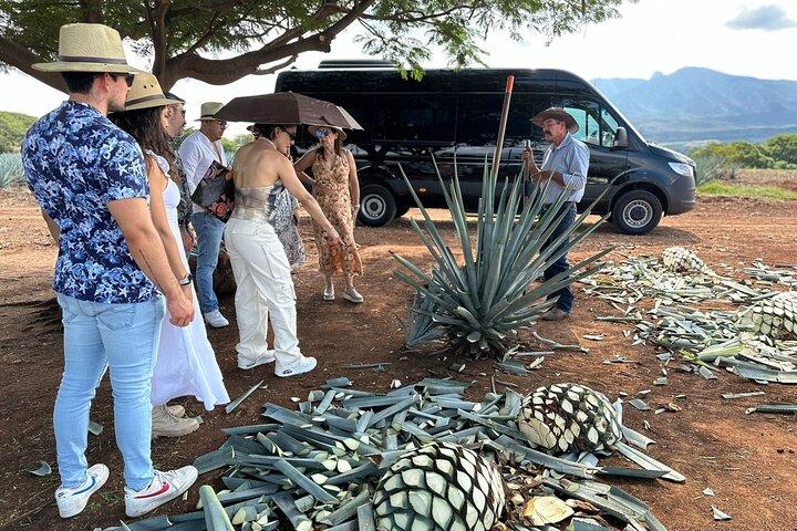 Private Experience A Tequila