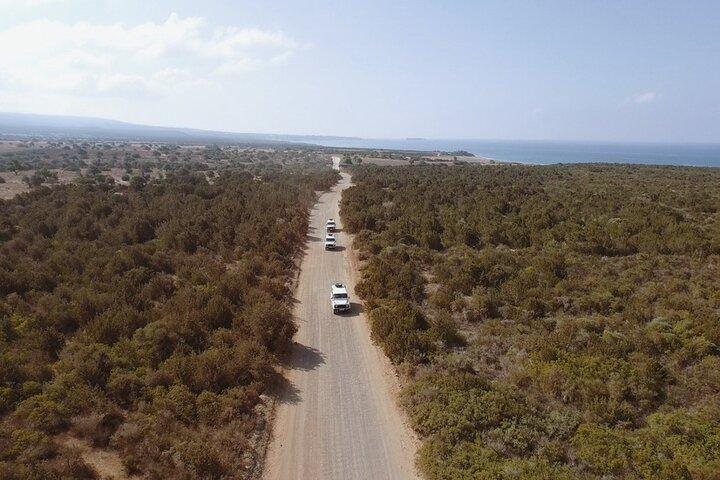 Jeep Safari Akamas from Paphos