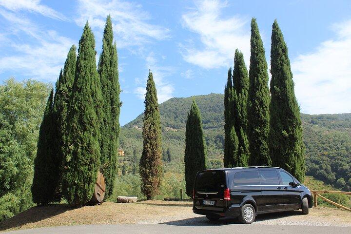 Tasting in a Tuscan Vineyard with transfer from Pisa