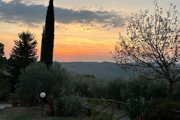 Exclusive Private Chianti Classico Experience from Florence