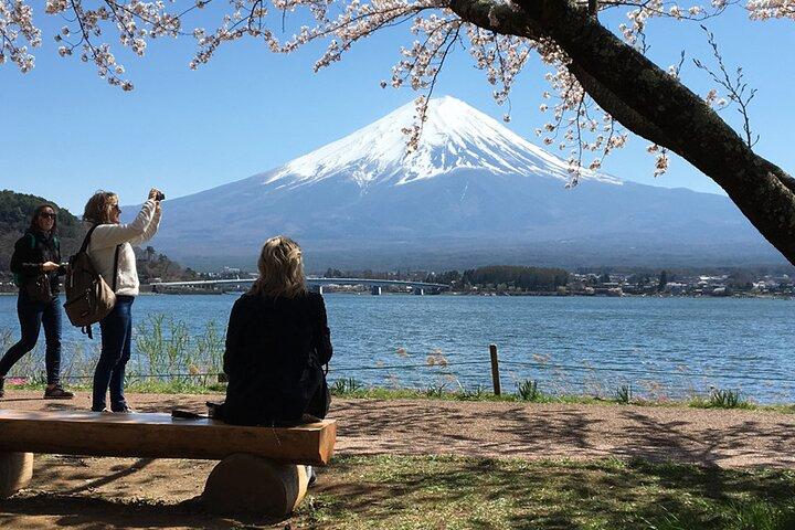 Mt Fuji Private Day Tour from Tokyo with English-Speaking Driver