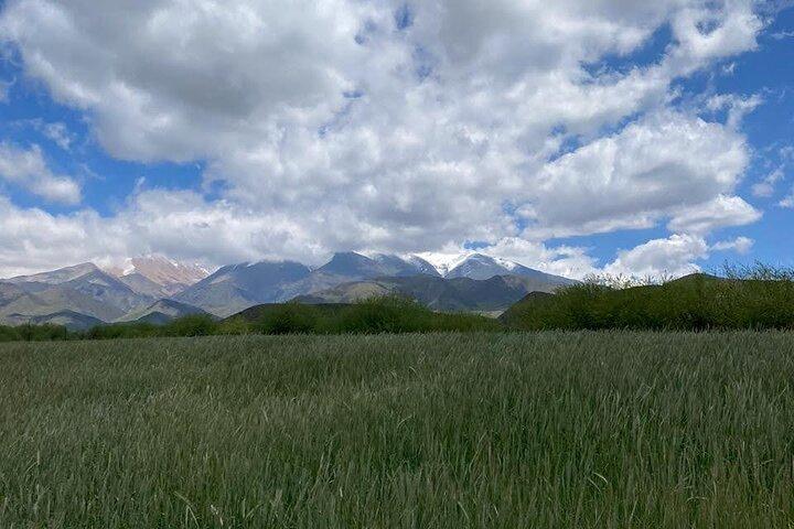 Horseback riding and barbecue in a private ranch - La Carrera, Mendoza