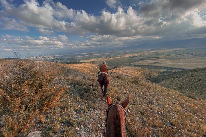 Horseback riding and barbecue in a private ranch - La Carrera, Mendoza