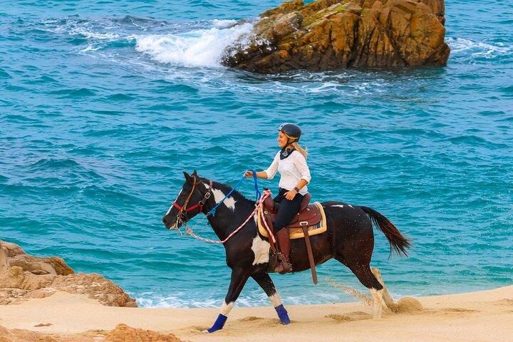 Horseback Riding Beach and Desert in Cabo