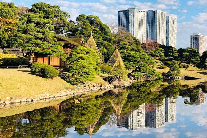 Tokyo 1-Day Bus Tour, pickup from 28 designated hotels in Tokyo