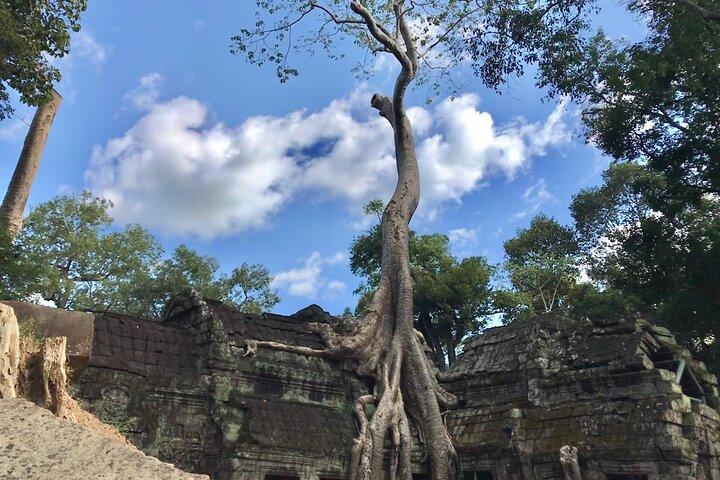 Private Guided Angkor Wat Tour by Lady Tuk Tuk with Monk Blessing