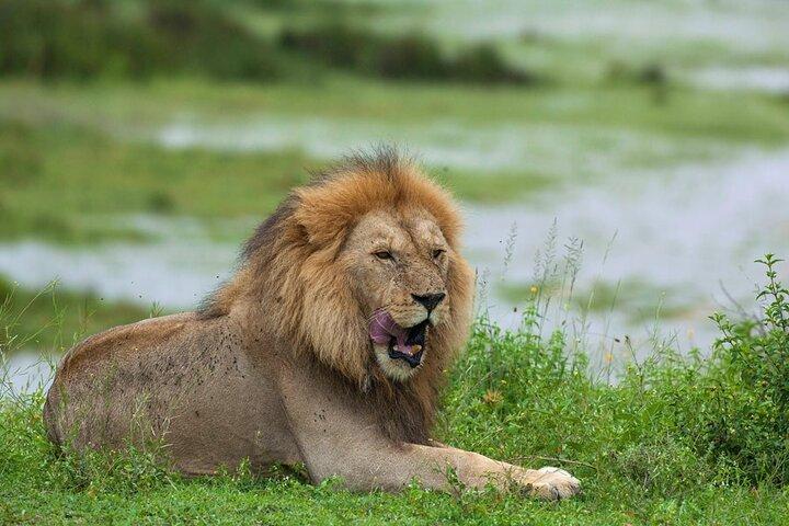 2 Days Tarangire and Ngorongoro Safari
