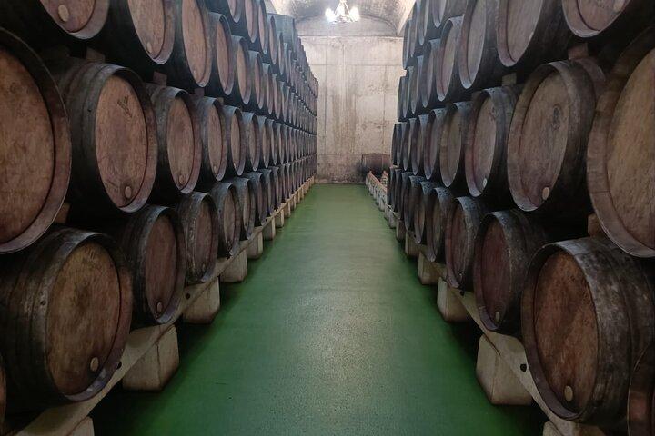 Full Rioja Wine Tour with Lunch from Bilbao - Private Tour