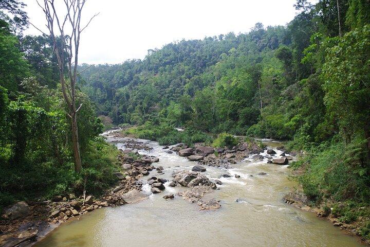 Private Tour Sinharaja Rain forest from Colombo