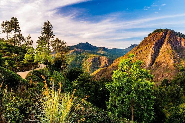 Private Tour Trek to Little Adam's Peak and Nine Arches Bridge