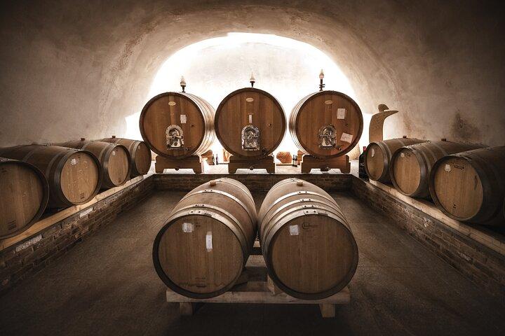 Wine Tour and tasting in the Monferrato - Premium