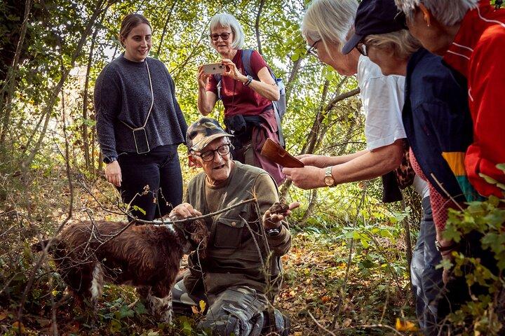 Umbria Truffle Hunting Experience with Tasting