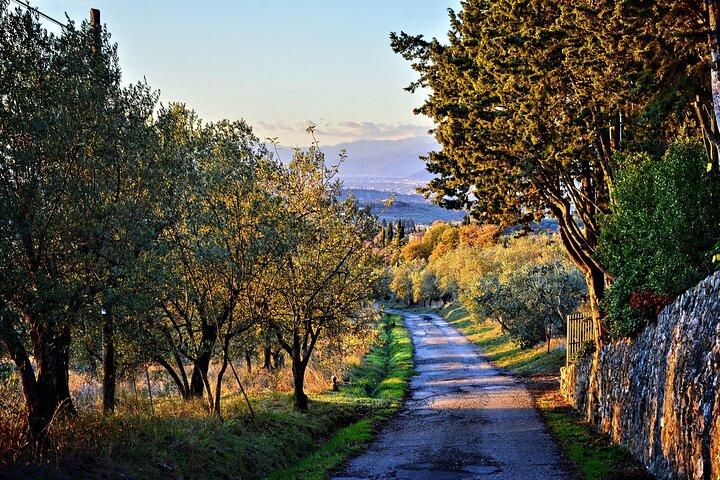 Chianti Day trip from Florence