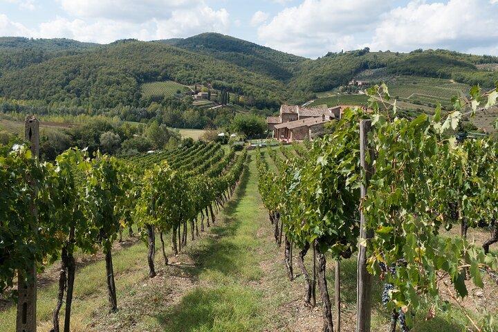 Chianti Day trip from Florence