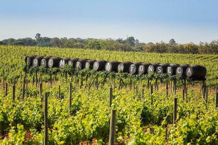 Arrábida & Setúbal, coastal getaway - Private Tour
